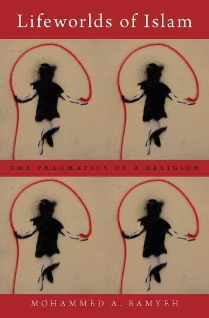 Lifeworlds of Islam: The Pragmatics of a Religion - Réduction -80% à 12.81€