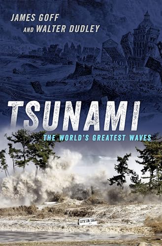 Tsunami: The World's Greatest Waves - Nouvelle promo Amazon à 5.70€
