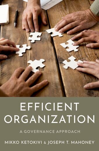 Efficient Organization: A Governance Approach - Bon plan à 23.89€