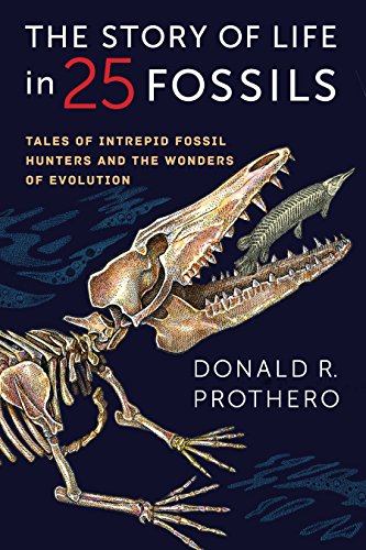The Story of Life in 25 Fossils: Tales of Intrepid Fossil... - Livres & eBooks Amazon Italie à 48.75€