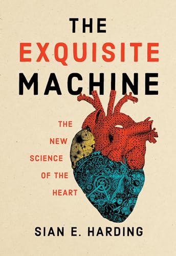 The Exquisite Machine: The New Science of the Heart - Bricolage & Outils Amazon Allemagne à 43.28€
