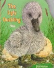 The Ugly Duckling (Pudgy Pal) - Jouets & Jeux Amazon Allemagne à 25.95€