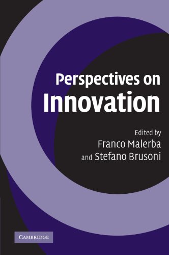 Perspectives on Innovation en promo sur Amazon