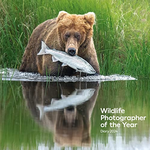 Wildlife Photographer of the Year Desk Diary 2024 (Wildlife... - Home & Kitchen Amazon Germany à 4.02€