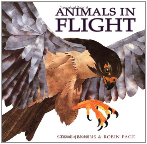 Animals in Flight - Maison & Cuisine Amazon Espagne à 10.58€