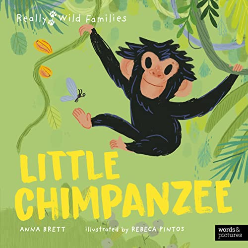 Little Chimpanzee: A Day in the Life of a Baby Chimp... - Maison & Cuisine Amazon Royaume-Uni à 3.00€