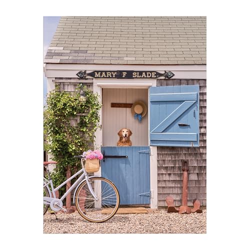 Galison Gray Malin Nantucket – 1000 Piece Book Puzzle with... - Sports & Fitness en promo à 27.03€
