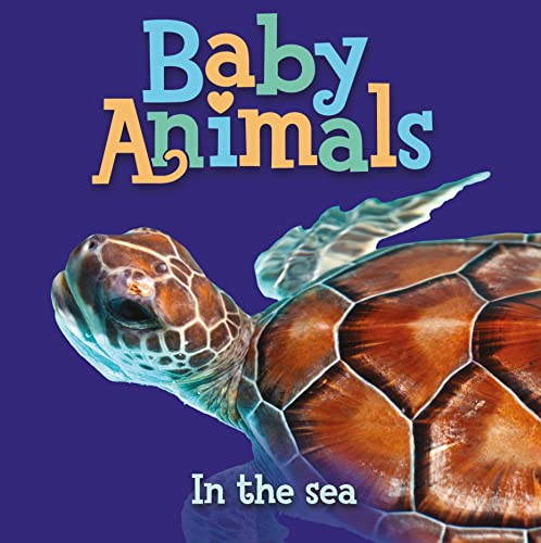 Baby Animals in the Sea - Bébé & Puériculture Amazon Allemagne à 27.97€