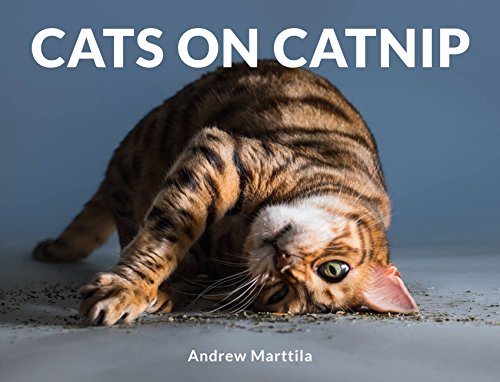 Cats on Catnip - Animalerie Amazon Royaume-Uni à 2.66€