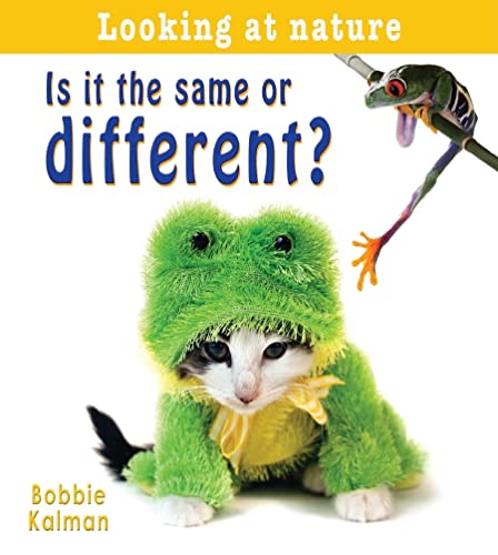 Is It the Same or Different? en promo sur Amazon