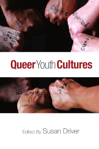 Queer Youth Cultures (Suny Series, Interruptions: Border... - DIY & Tools Amazon Spain à 13.24€