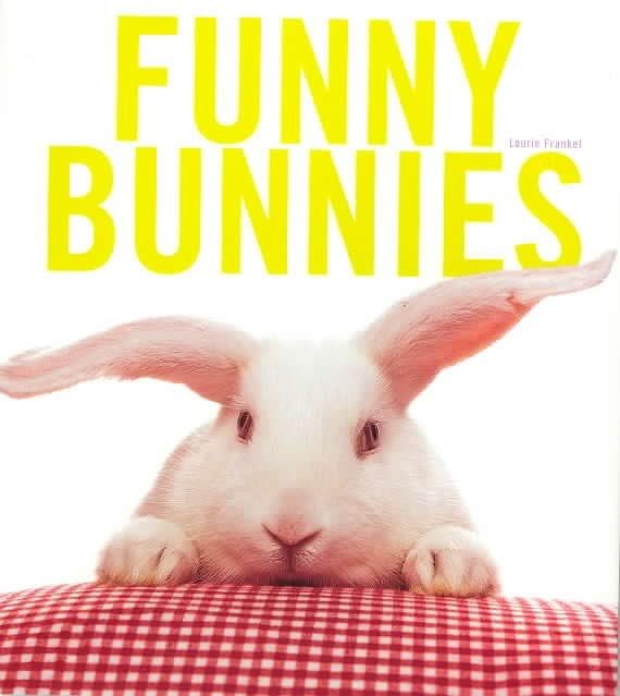FUNNY BUNNIES ING - Musique & Instruments Amazon Espagne à 22.42€