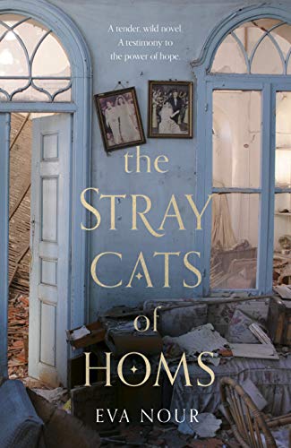 The Stray Cats of Homs: The unforgettable, heart-breaking... - Maison & Cuisine Amazon Espagne à 63.98€
