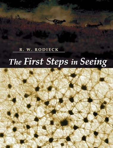 The First Steps in Seeing - Amazon Italie à 24.74€