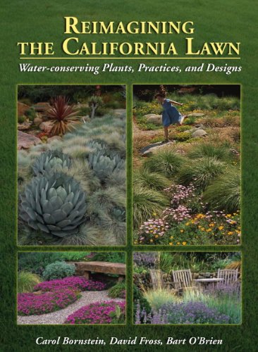 Reimagining the California Lawn: Water-Conserving Plants... - Jardin & Extérieur Amazon Royaume-Uni à 32.46€