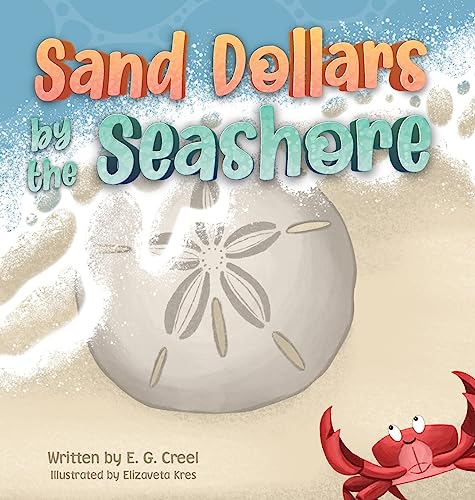 Sand Dollars by the Seashore - Jouets & Jeux Amazon Espagne à 10.93€