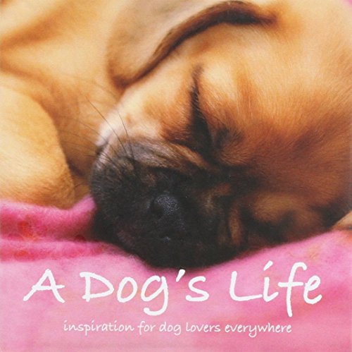 Dogs: Inspiration for Dog Lovers Everywhere (Inspirational... - Animalerie Amazon Allemagne à 26.32€
