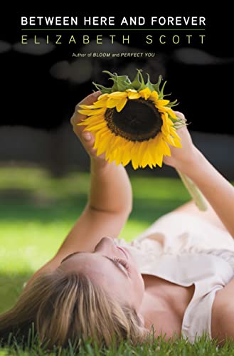 Between Here and Forever - Musique & Instruments Amazon Royaume-Uni à 11.12€