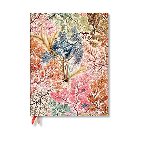 Anemone (William Kilburn) Ultra 12-month Dayplanner 2024 - Amazon Espagne à 6.07€