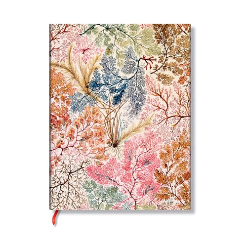 Paperblanks | Anemone | William Kilburn | Flexi a copertina... - Amazon Italie à 8.84€