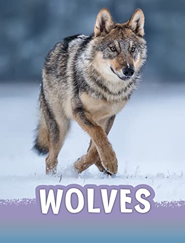 Wolves (Animals) - Animalerie Amazon Royaume-Uni à 3.00€