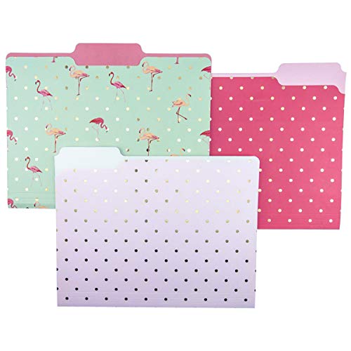 Graphique Flamingo Pink File Folder Set – File Set Includes... - Auto & Moto Amazon Royaume-Uni à 5.05€