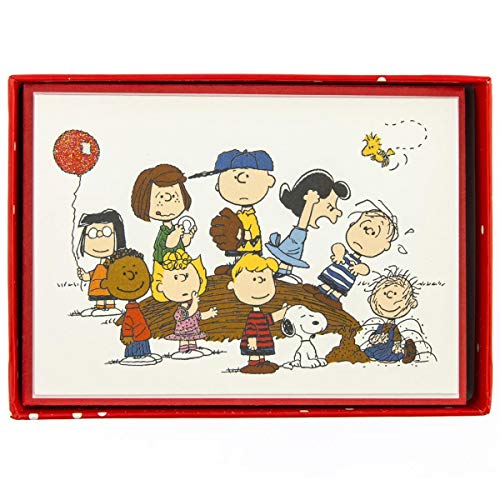 Graphique Peanuts Gang Biglietti in scatola, 16 biglietti... - Animalerie Amazon Italie à 21.02€