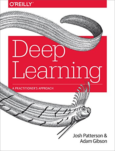 Deep Learning: A Practitioner's Approach - Bon plan à 23.25€