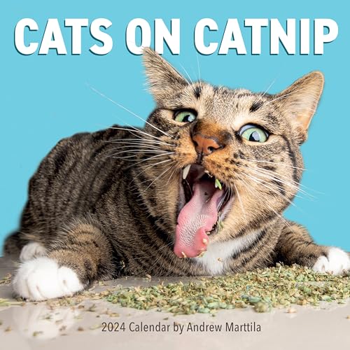 Cats on Catnip 2024 Calendar: A Year of Cats Living the... - Pet Supplies Amazon Italy à 4.84€