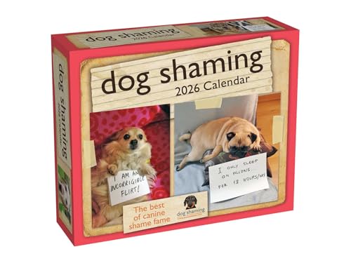 Dog Shaming 2026 Day-to-Day Calendar - Animalerie en promo à 3.49€