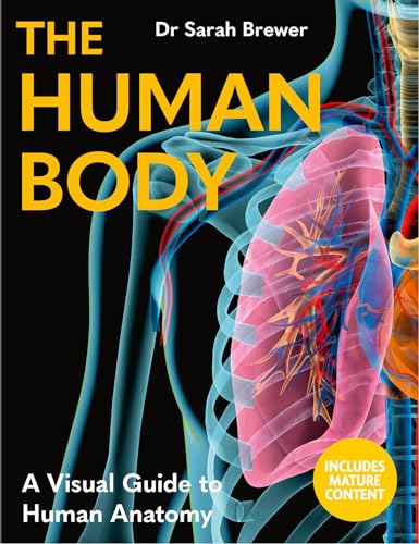 The Human Body: A Visual Guide to Human Anatomy - DIY & Tools Amazon Spain à 21.28€