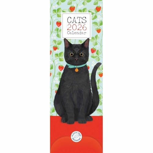 Carousel Worldwide, Cats 2026 Slim Wall Calendar - Animalerie Amazon Royaume-Uni à 4.30€