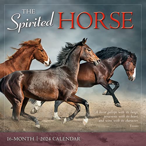 The Spirited Horse 2024 Wall Calendar, 16-Month Animal... - Pet Supplies Amazon UK à 3.74€