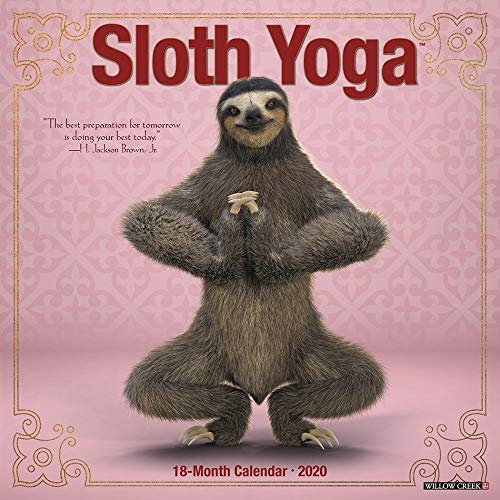 Sloth Yoga 2020 Wall Calendar - Amazon Royaume-Uni à 2.46€