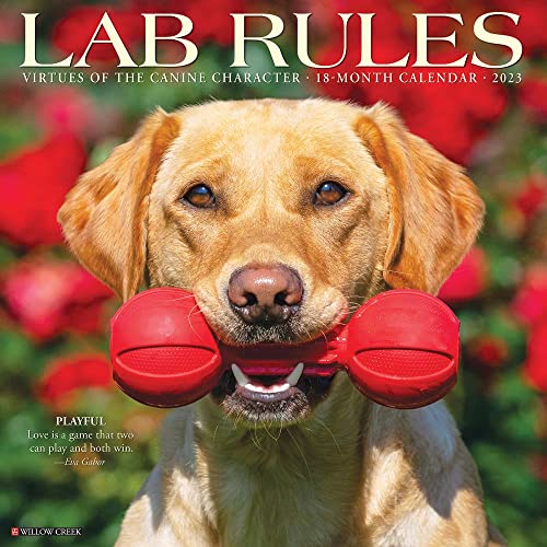 Lab Rules 2023 Wall Calendar - Amazon Italie à 3.93€