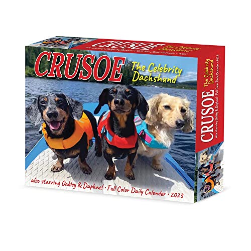 Crusoe the Celebrity Dachshund 2023 Calendar - Animalerie Amazon Italie à 7.47€