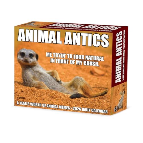 Animal Antics 2026 Box Calendar - Animalerie Amazon Royaume-Uni à 3.74€