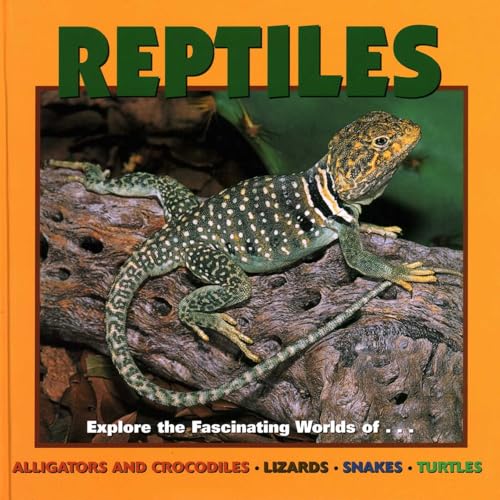 Reptiles: Alligators and Crocodiles, Lizards, Snakes and... - Livres & eBooks Amazon Allemagne à 23.44€