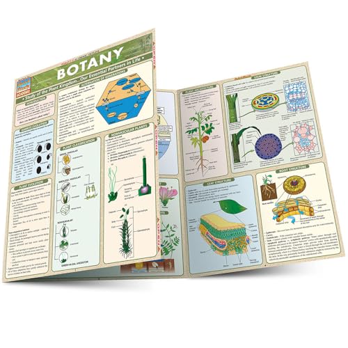 Botany: Study of the Plant Lkingdom...our Essential... - Garden & Outdoor Amazon Italy à 5.09€