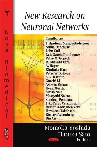 New Research on Neuronal Networks - High-Tech & Électronique Amazon Espagne à 16.91€