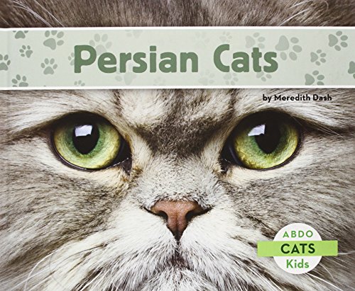 Persian Cats - Animalerie en promo à 10.74€