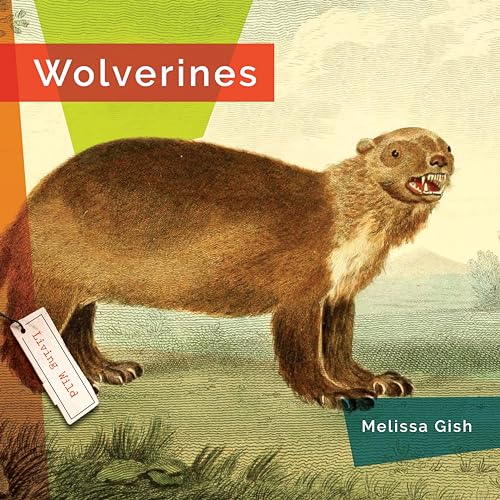 Wolverines (Living Wild) - Livres & eBooks Amazon Allemagne à 73.06€