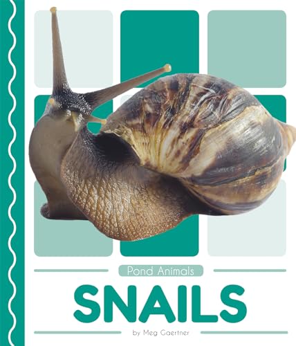 Pond Animals: Snails - Beauté & Parfums Amazon Allemagne à 14.72€
