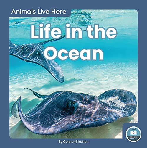 Life in the Ocean (Animals Live Here) - Réduction -72% à 4.47€