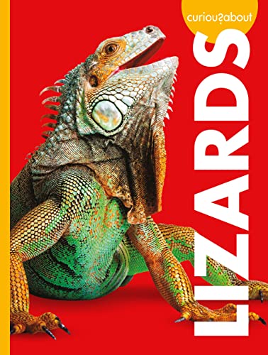 Curious about Lizards (Curious about Pets) - Pet Supplies Amazon UK à 2.98€