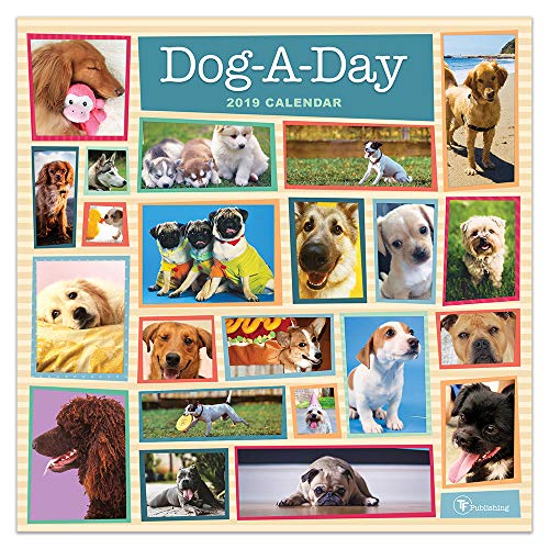 Dog-a-Day 2019 Calendar - Animalerie en promo à 5.68€