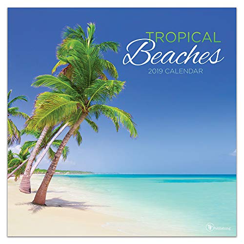 Tropical Beaches 2019 Calendar - Amazon Italie à 4.44€