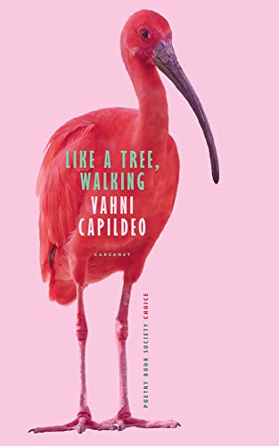 Like a Tree, Walking - Amazon Allemagne à 3.84€