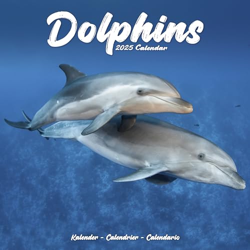 Dolphins – Delfine – Delphine 2025 – 16-Monatskalender:... - Bon plan à 3.95€