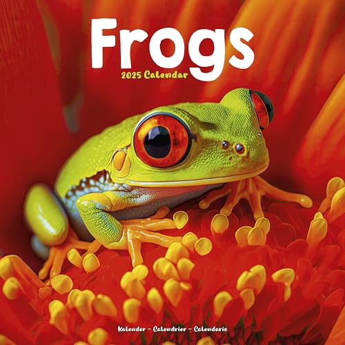 Frogs Calendar 2025 Square Animal Wall Calendar - 16 Month - Animalerie Amazon Espagne à 9.54€